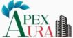 Apex Logo